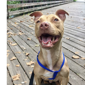 Team Page: Cleopatra